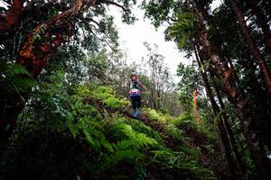 BIB: 
                            <button type="button" onclick="openModal(26204802)" class="btn btn-primary btn-sm float-right btn-popup" data-toggle="modal" data-target=".modal-high-quality">
                        <i class="fas fa-shopping-cart"></i> Add to Cart
                    </button>
                                            <button type="button" onclick="isThisMe(26204802, true)" class="btn btn-success btn-sm float-right btn-popup btn-isme hidden" data-toggle="tooltip" data-placement="bottom" title="นี่คือรูปของคุณใช่ไหม คลิกที่นี่เพื่อเอาเข้าอัลบั้ม">
                        <i class="fas fa-plus"></i> Add to album
                    </button>
                    <button type="button" onclick="isThisMe(26204802, false)" class="btn btn-warning btn-sm float-right btn-popup btn-isnotme hidden">
                        <i class="fas fa-ban"></i> Remove from album
                    </button>